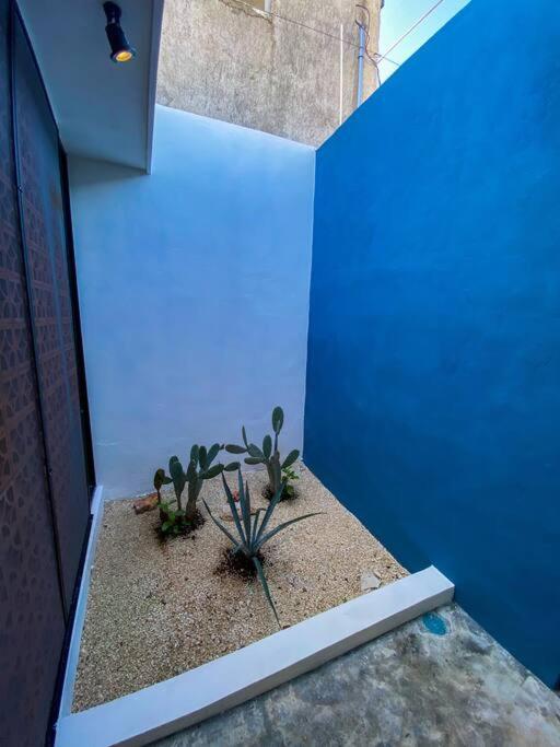 Modern Casa With Pool 7 Mins From Centro 5Min La Plancha Park Villa Mérida Buitenkant foto
